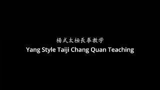 Yang style Taiji Chang Quan teaching