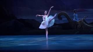 The Sleeping Beauty - Variation of Aurora