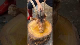 Goat Head  Cutting Skills By Professional Cutter || Best Cutting Skills #matan