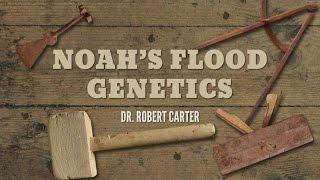 Origins: Noah’s Flood Genetics