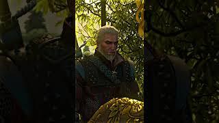 Geralt Enjoying the View in the Witcher 3 #shorts