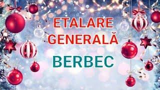 BERBEC  EXPANSIUNE, ACȚIUNE RAPIDĂ - TE CONCENTREZI PE CEEA CE ESTE CU ADEVĂRAT IMPORTANT. MAGIE!