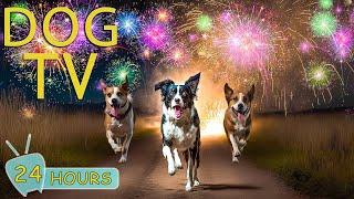 DOG TV for Dogs to Watch: Best Videos to Help Dogs No Anxiety from Fireworks, Bangs & Loud Noise