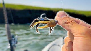 These Crabs Got SMOKED!!! Inshore Kayak Fishing the Marsh!