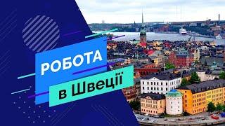 Рабочий на посадку, обработку (опрыскивание) саженцев в Швецию