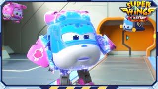 [SUPERWINGS7 Trailer] Go Slow, Jett! | Superwings Superpet Adventures | Super Wings | Teaser S7 EP25