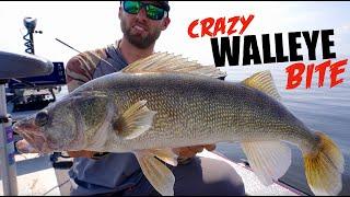 Jigging GIANT Walleyes on the BEST Walleye Lake EVER!
