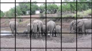 Botswana - Mashatu, Land of Giants