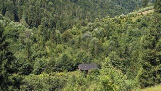 An abandoned forest cabin Far from Civilization. Bushcraft survival in the forest.