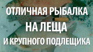 УСПЕШНАЯ ЗИМНЯЯ РЫБАЛКА на ЛЕЩА и ПОДЛЕЩИКА в ПОДМОСКОВЬЕ на МОРМЫШКУ со ЛЬДА