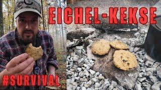 Survival Notnahrung Eichel-Kekse / 100% Eicheln aus dem Wald