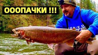 США. ЛОСОСЕВАЯ РЫБАЛКА И РЕЦЕПТ ПРИГОТОВЛЕНИЯ "ПОКЕ" ИЗ ЛОСОСЯ. STEELHEAD FISHING. DOWNSTREAMER.