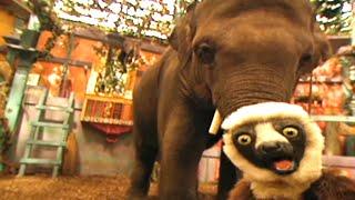 Zoboomafoo with the Kratt Brothers! BABY ELEPHANT 2 | Full Episodes Compilation