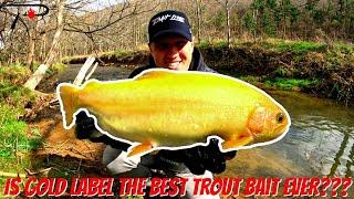 Is Gold Label the Best Trout Bait Ever?