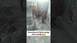 MEHNATKASH AYOLGA BITTA LAKY ️ #shorts #tiktok #reels #funny #istagram #million #rek #like #1m