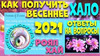 КАК БЕСПЛАТНО ПОЛУЧИТЬ НОВОЕ ВЕСЕННЕЕ ХАЛО 2021 НА ФОНТАНЕ РОЯЛ ХАЙ. НОВЫЕ ИСТОРИИ. EniyaSofiya.