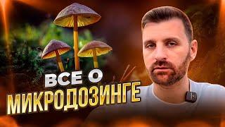 Как принимать мухомор | влияние Грибов на твою жизнь