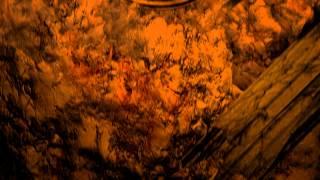 Strix. Intro