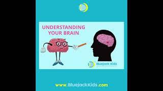 Understanding Your Brain
