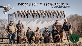 VIRGINIA CORNFIELD HONKERS (Late Season)