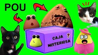 CAJA MISTERIOSA DE LA VENGANZA DE POU (BOU’S REVENGE) / Videos de gatos graciosos Luna y Estrella