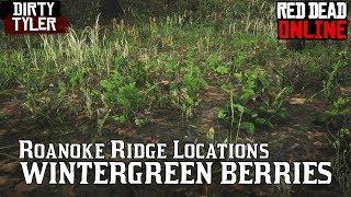 Wintergreen berry Locations for Daily Challenges   Red Dead Online Beta RDR2