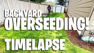 Overseeding Timelapse ~ Process ~ Backyard Overseed for the spring!