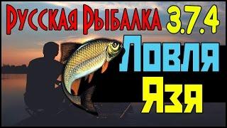 Русская Рыбалка 3.7.4 - Ловля Язя: На базе деревенских просторах