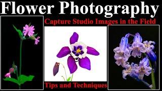 Wild flower photography skills for PRO Studio images in nature photography