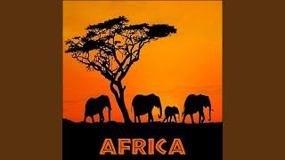 Jungle Wildlife