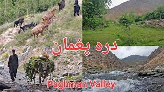 Paghman Valley 2023 دره پغمان || Kabul Afghanistan ||