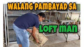 BREEDING TIPS NI MASTER POGI SA PANAHON NG TAG ULAN |Reggie Cruz Loft & Aviary #reggiecruzloft