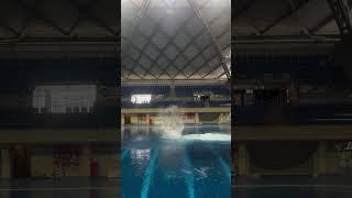 10m ‍ your thoughts?   #fun #fail #high #diving #sports #redbull #crazy #flip #IvanAlekhin