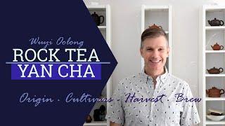 What is Wuyi Yancha? | Basics about rock tea | Chinese Oolong Tea | ZhenTea