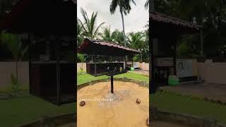 തൃശൂരിലെ ഒരു അടിപൊളി പ്രാവിന് കൂടു   #shorts #pigeon #pravu #pegion #dove #short