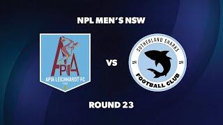 NPL Men’s NSW Round 23: APIA Leichhardt FC v Sutherland Sharks FC