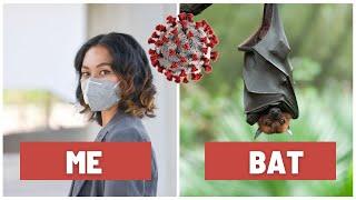 Why Bats Can Fight off Coronavirus, but I Can't