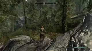 Skyrim. Часть 5. Теневая башня. Вечнозеленая роща. Мшистая пещера. Форт Греймур