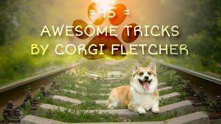 || 95 AWESOME TRICKS BY CORGI FLETCHER ||