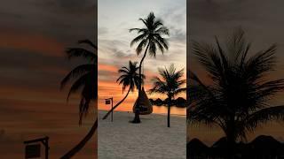 #maldives #sunsetdreams
