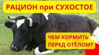 Коротко по отел и сухостой