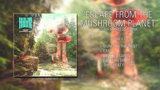 Hairless Monk (Iowa) - Escape from the Mushroom Planet (2017) | Full Album