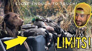 Reaction to an INSANE 5 Man Limit Goose Hunt! Duck Gun Chronicles