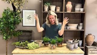 The Boston Fern Trio Kit & The Mini Fern Trio Kit Tutorial