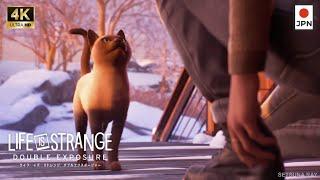 Cute Cat Scene in Life is Strange Double Exposure Gameplay Playthrough Japan Dub Nocommentary V1