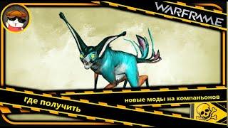 Warframe где получить новые моды на компаньонов