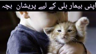 wild Cat paying With Kid | Ahmed Hamza A1