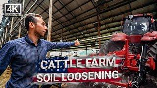 Dairy farm of 1600 cows in Ukraine. After harvest soil tillage