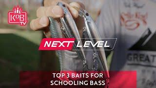 Top 3 Baits for Schooling Bass with Cole Floyd [NEXT LEVEL]