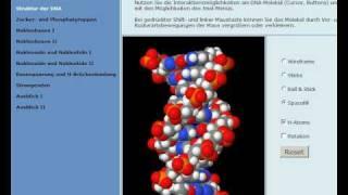 Lehrer-Online: DNA